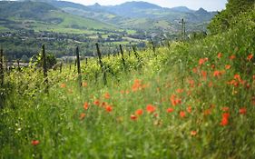 Oinoe La Città del Vino